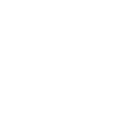 Valentino logo